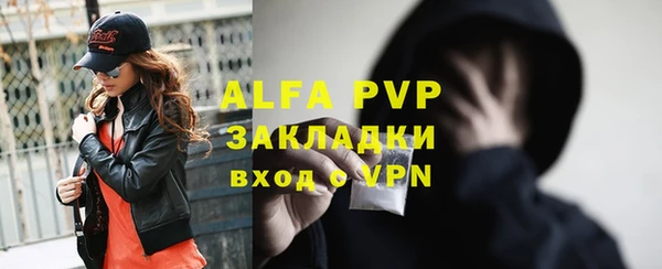 стаф Алексин