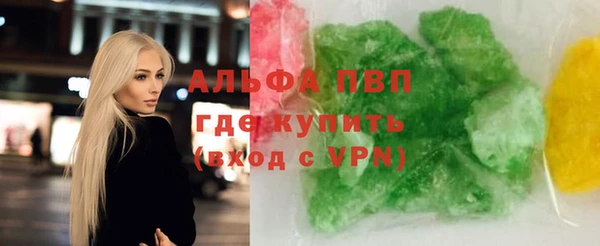 шишки Няндома