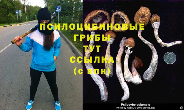 Альфа ПВП Алзамай