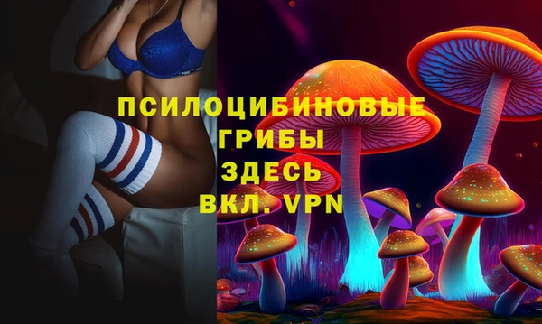 Альфа ПВП Алзамай