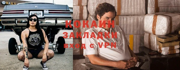 стаф Алексин